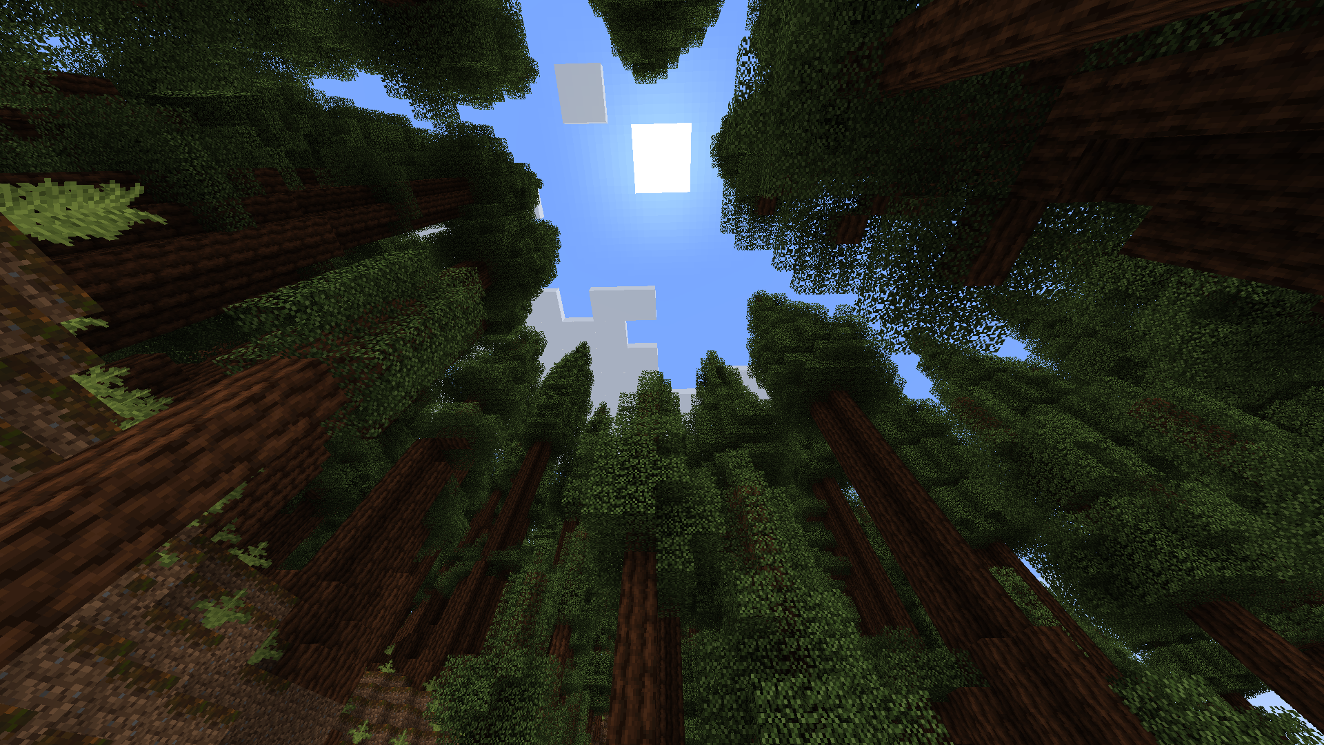 Biomes O' Plenty Minecraft mod: Redwood Forest