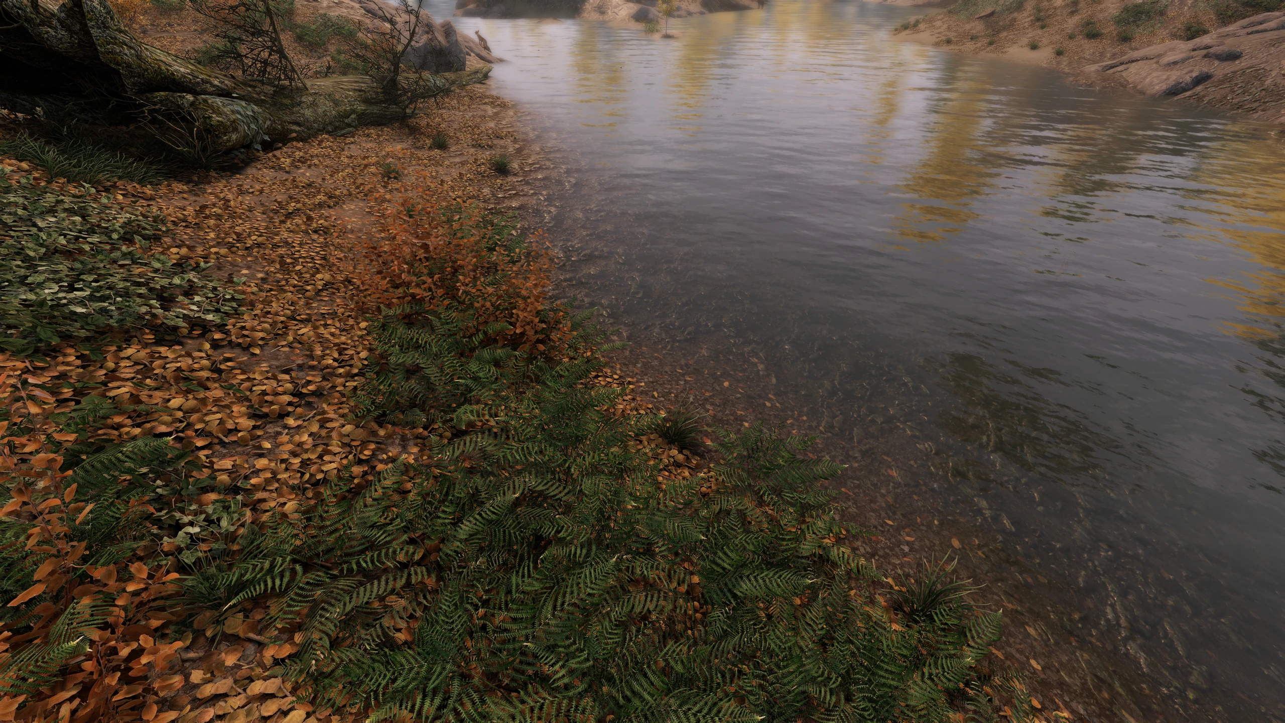 Community Shaders official Skyrim project gallery image 2