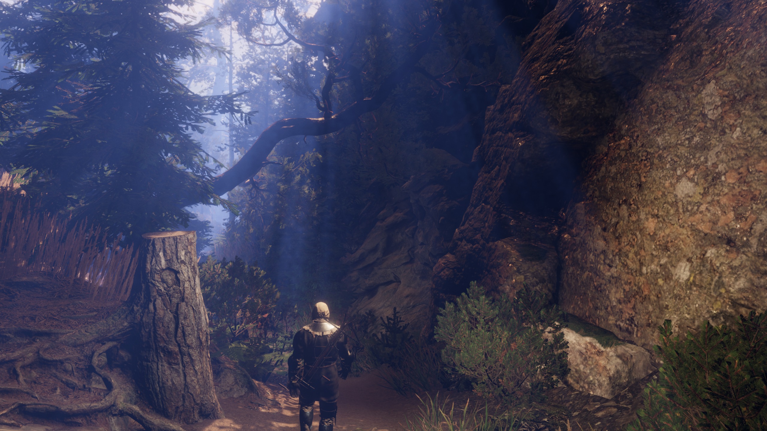 Forester — Forest path close-up
