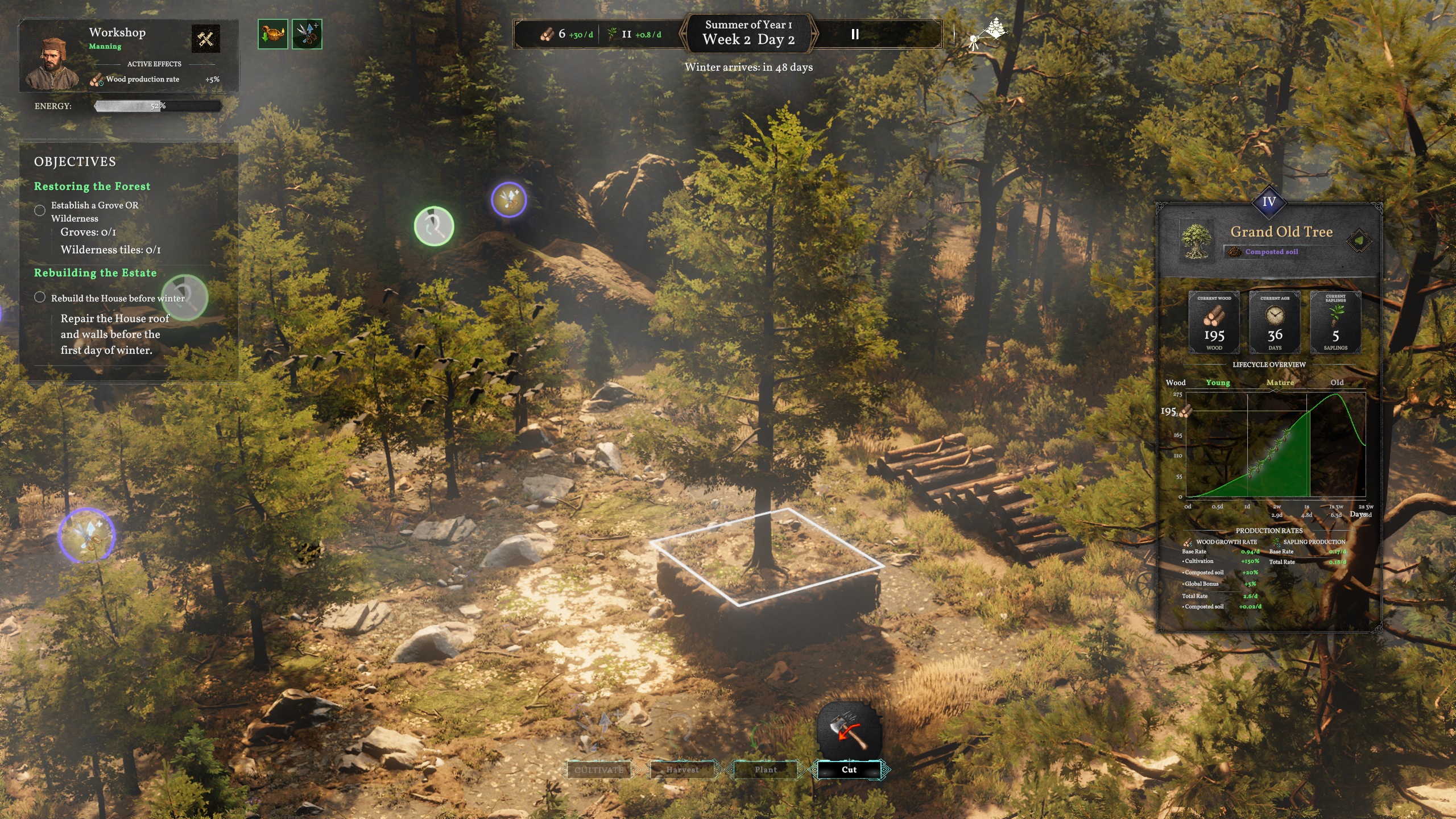 Forester — Grand Old Tree management