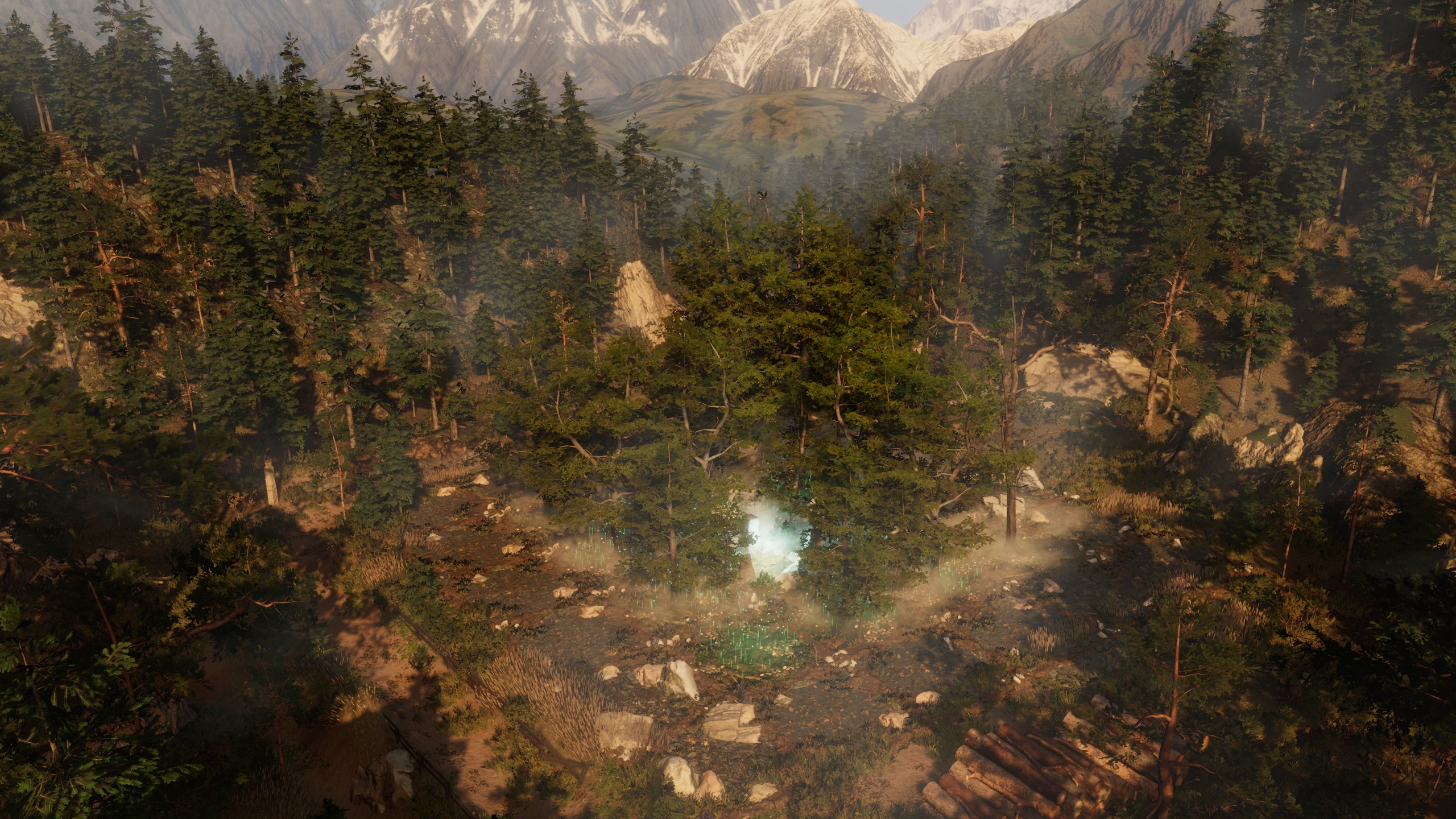 Forester — Mountain forest vista